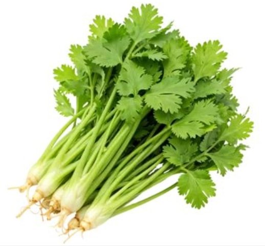 Coriander Leaves